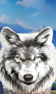 Wolf Fang - Valhalla Rising